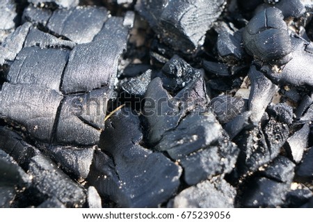 Brilliant black coal for a fire or cooking barbecue or as a fuel