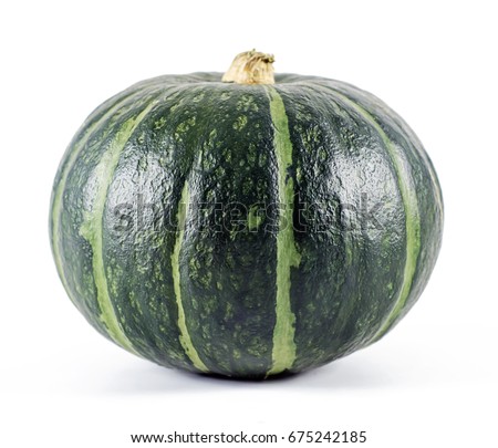 Green pumpkin isolated on the white background .
