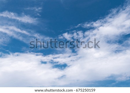 palm tree with blue sky background in evening in concept summer on the beach 