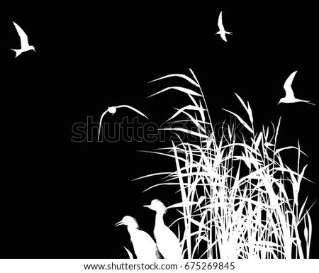 illustration with heron between reed silhouettes isolated on black background