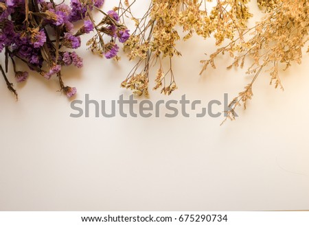 colour dried flowers on paper. top view trendy fashion feminine background.