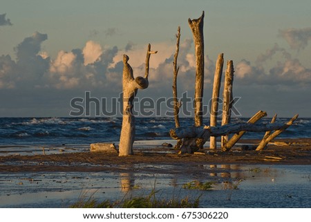 Piece of wood tree vertical standing on sand beach at coast of sea and evening sky clouds reflection on water waves