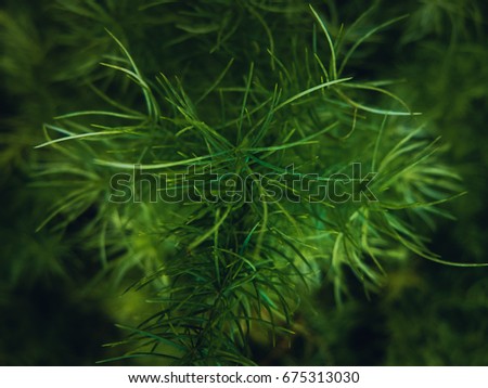 Abstract blur of green leaves picture in the garden for green background