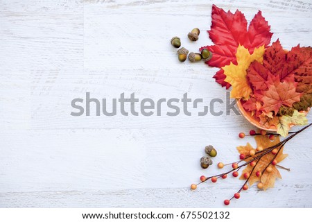 Autumn Thanksgiving Background Royalty-Free Stock Photo #675502132