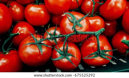 fresh tomatoes. red tomatoes background. Group of tomatoes Royalty-Free Stock Photo #675525292
