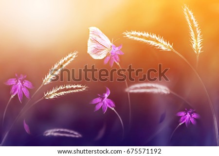 Pink butterfly  against a background of wild flowers in purple and yellow tones. Artistic image. Soft focus.