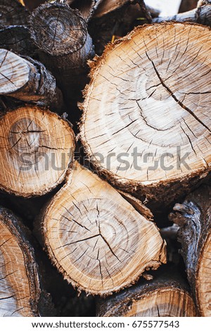 Stack of wood logs, wooden abstract background. Vertical photography.