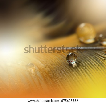 Waterdrops on a flowers made with pastel tones...
Abstract macro photo with water drops. Tranquil abstract closeup art background. Artistic Background for desktop. 