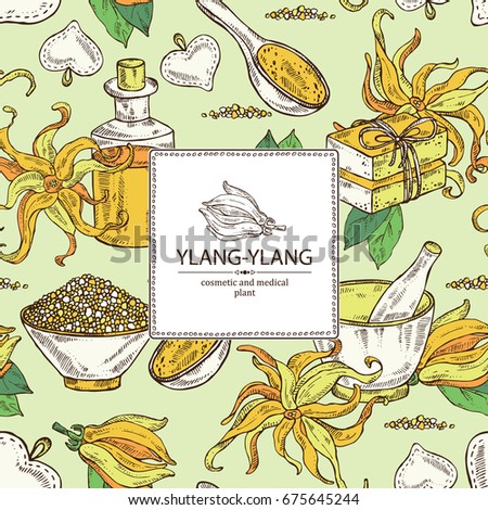 Background with ylang ylang flower, leaves, essential oil, soap, bath salt and mortar and pestle. Cosmetic, perfumery and medical plant. Vector hand drawn illustration. 