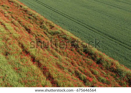 aerial view of the harvest fields in Poland