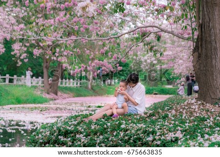 Asia Mother and baby in the park with Pink trumpet tree
