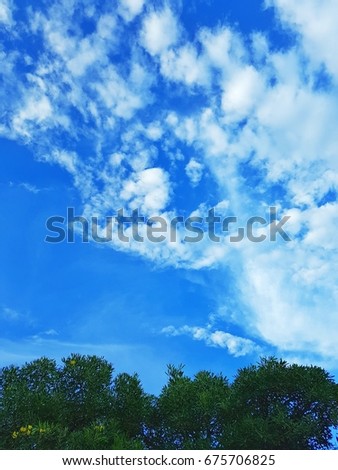 Vivid blue sky with cotton white cloud over the tree, clear your mind and be relax. let's focus on the future.
