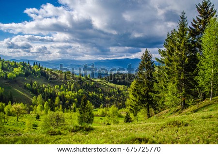 Forest in the Carpathians Royalty-Free Stock Photo #675725770