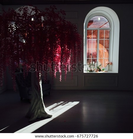 The sakura tree is in the room. Interior photo studio.