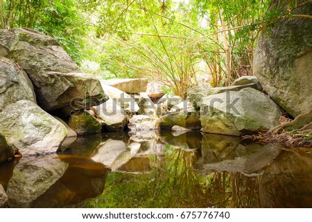 Streams in a forest with large stones and yellow light from the sky.