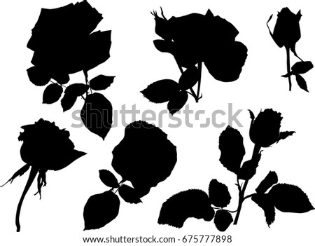 illustration with rose silhouettes isolated on white background