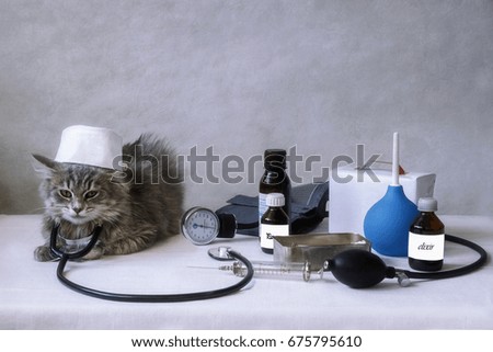 Doctor cat