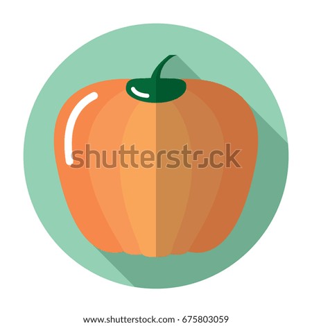 Pumpkin icon. Flat pumpkin icon. Pumpkin vector