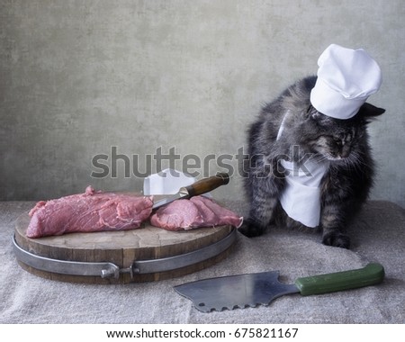 Butcher's cat