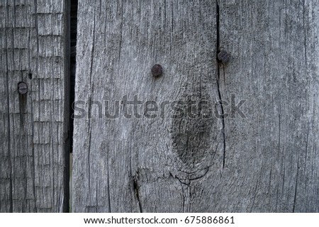 Old wood with rusty nails texture background