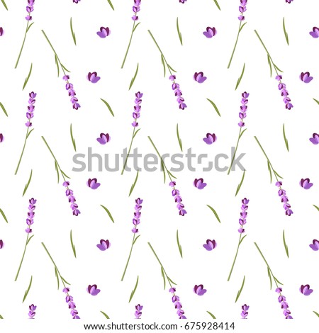 Lavender seamless pattern, vector illustration. Hand drawn flat little flowers, leaves on white background.