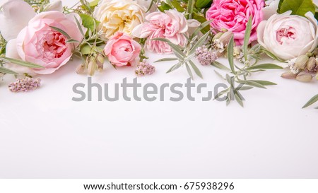 Beautiful white and pink English rose flower bouquet on white background. Copy space. Mother's, Valentines, Women's Wedding Day concept.
