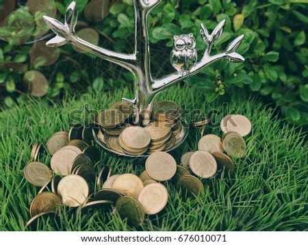 Pile of gold coins money in silver tree plate with owl on branch, grass and natural green tree leaves background, savings and environment idea