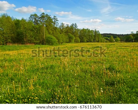 Beautiful landscape of grass field and green environment, blue sky Royalty-Free Stock Photo #676113670