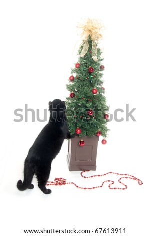 Black cat playing with Christmas tree and decorations on white background.