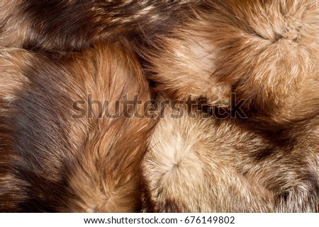 fur. The coat of the animal. The fur of the animal. texture Background. fox Fur