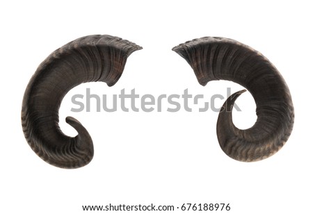 Pair of ram horns, isolated on white background  Royalty-Free Stock Photo #676188976