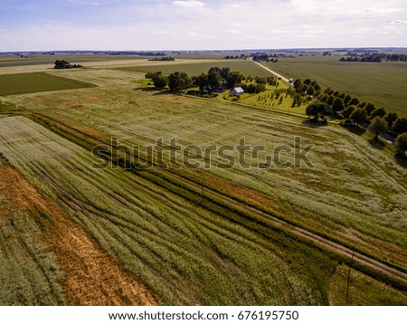 drone image. aerial view of rural area with fields and forests in sunny summer day with Buckwheat field blooming