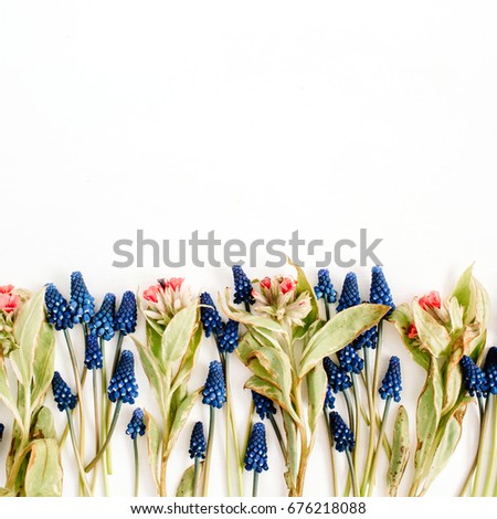 Beautiful blue muscari flowers and wildflowers on white background. Flat lay, top view. Blog, website or social media hero image