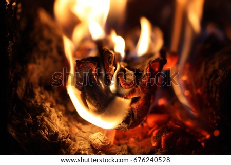 Flame close up. Macro. A background horizontally with bright tongues of flame.