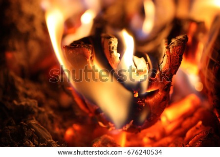 Flame close up. Macro. A background horizontally with bright tongues of flame.