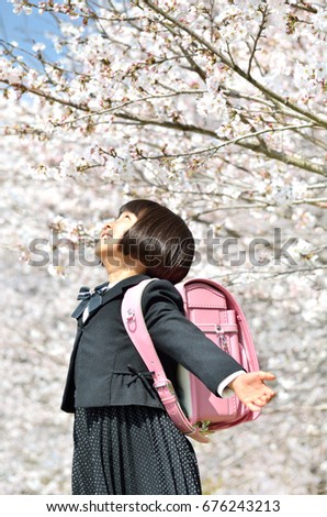 The first grade girl and cherry blossom
