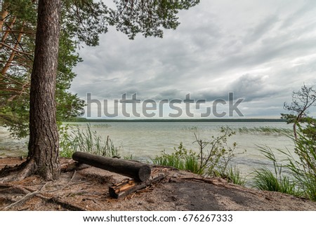A bench of logs on the coast with a picturesque view of the lake under a cloudy dramatic sky. summer