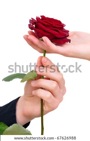 man's hand giving a rose to a woman who carefuly takes it Royalty-Free Stock Photo #67626988