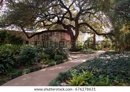 Scenes from the gardens surrounding the Alamo in San Antonio Texas in winter