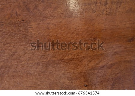 Texture of bark wood use as natural background.