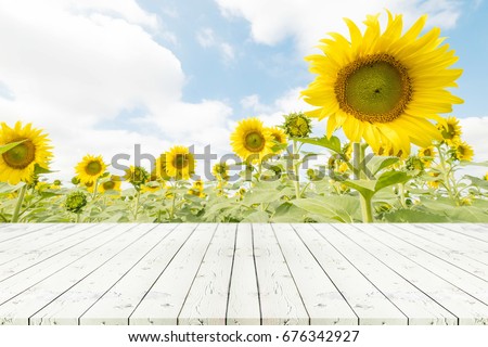 Perspective white wooden table on top over blur sunflowers background, Empty table for Your photo, Great for summer products monatges display or design layout. 
