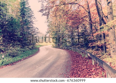Vintage road through fairy autumn forest, bright beech trees, landscape, retro style