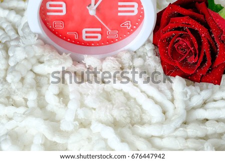 Rose with a clock on a soft cloth against the backdrop.