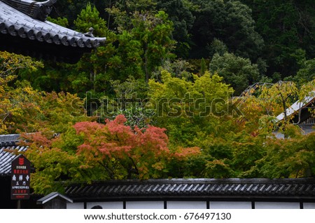 Beautiful japanese garden in early autumn time of Kyoto City