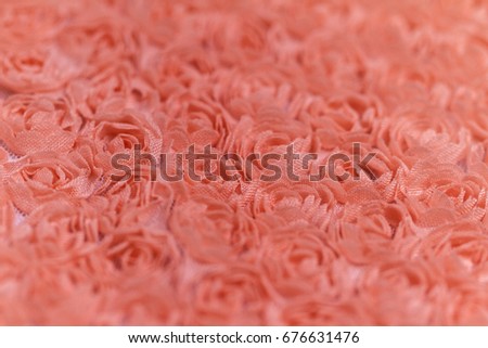 Peach-colored roses material - macro photo