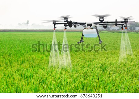 Agriculture drone fly to sprayed fertilizer on the rice fields Royalty-Free Stock Photo #676640251