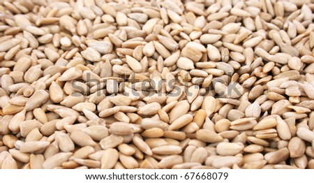 Sunflower seeds closeup picture.