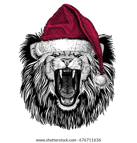 Lion Christmas illustration Wild animal wearing christmas santa claus hat Red winter hat Holiday picture Happy new year
