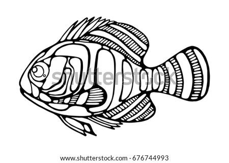 Lake fish with a sharp fin. Black and white graphics isolated on a white background.