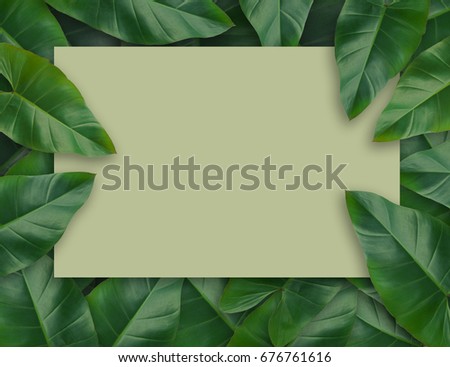 Tropical palm leaves with empty paper for your design  Minimal nature. Summer Styled. Flat lay, Original dimensions 7500 X 5780 pixels .